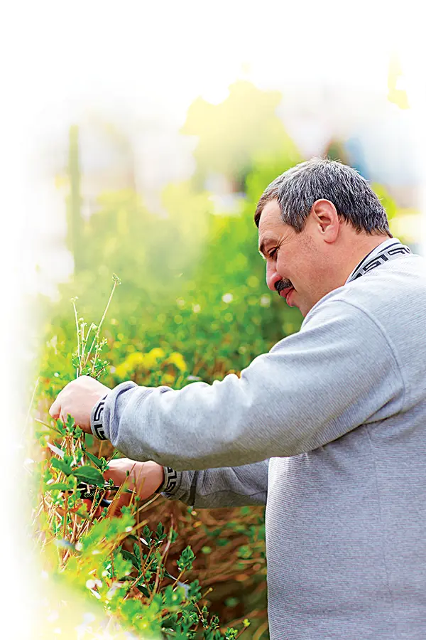 man outdoors gardening